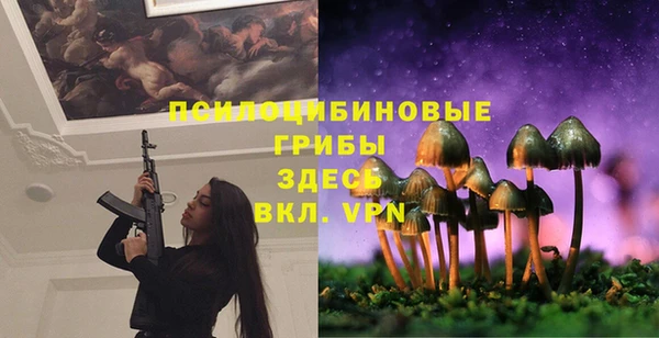 трава Нея