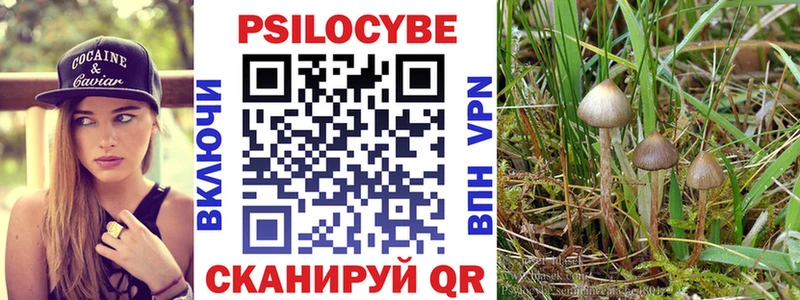 наркота  Лангепас  Псилоцибиновые грибы прущие грибы 